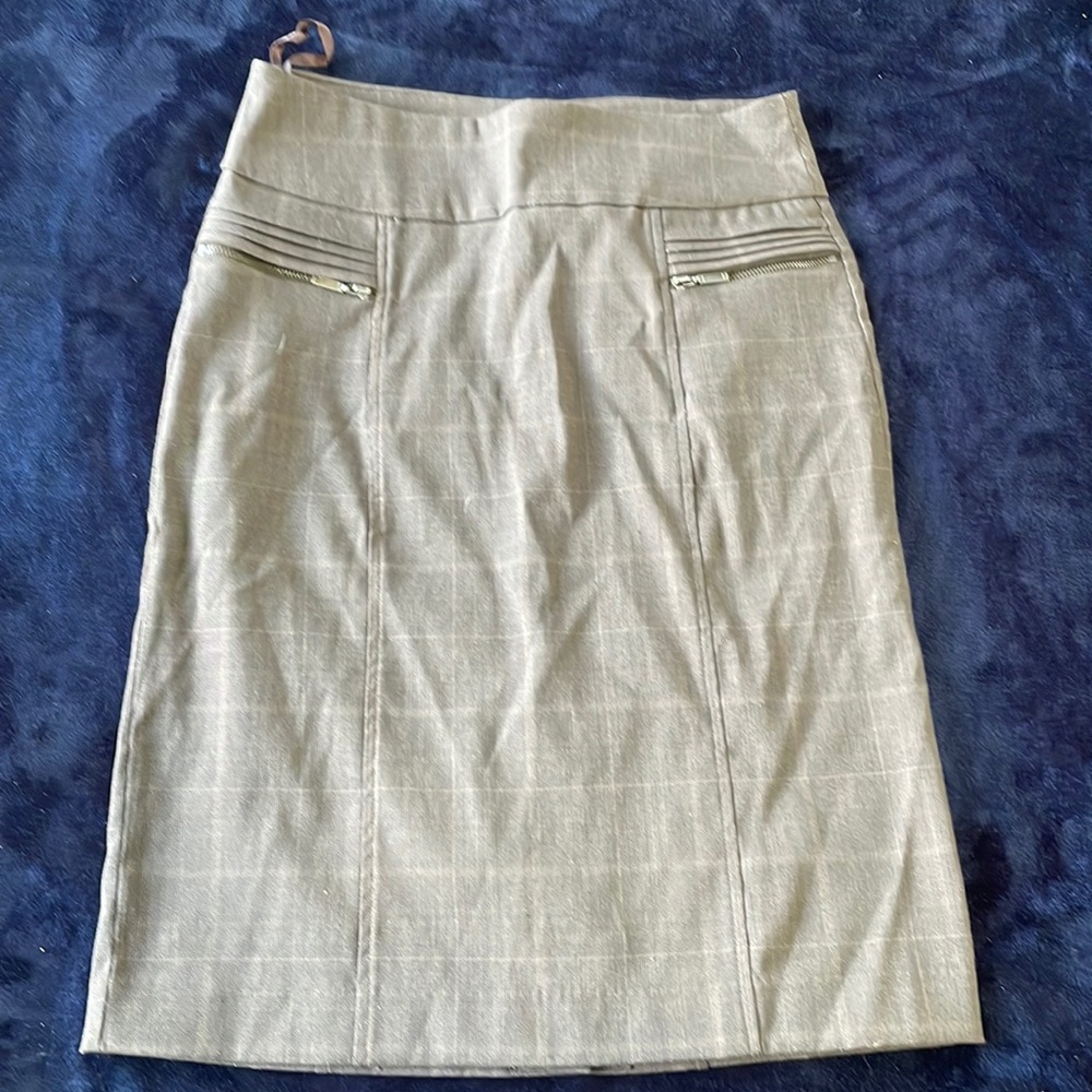 Reitmans stretchy skirt.